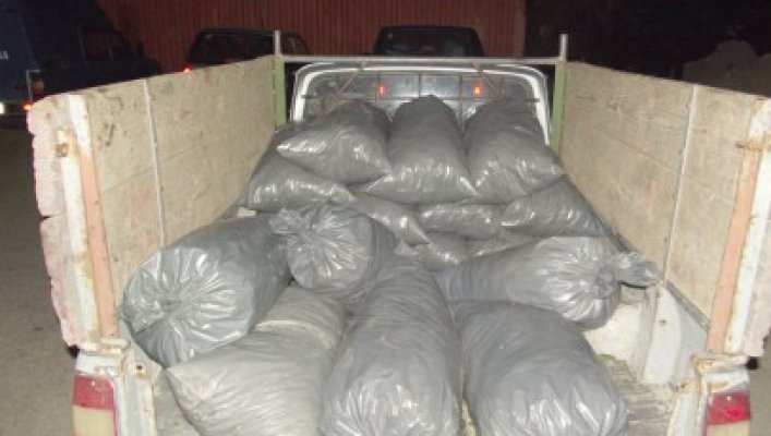 Prinşi cu Dacia burduşită de struguri furaţi